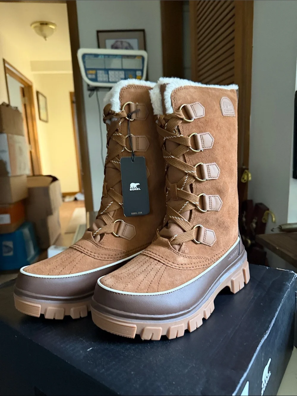 Sorel Women's Tivoli V Tall Lace-Up Winter Boot - Chestnut Brown